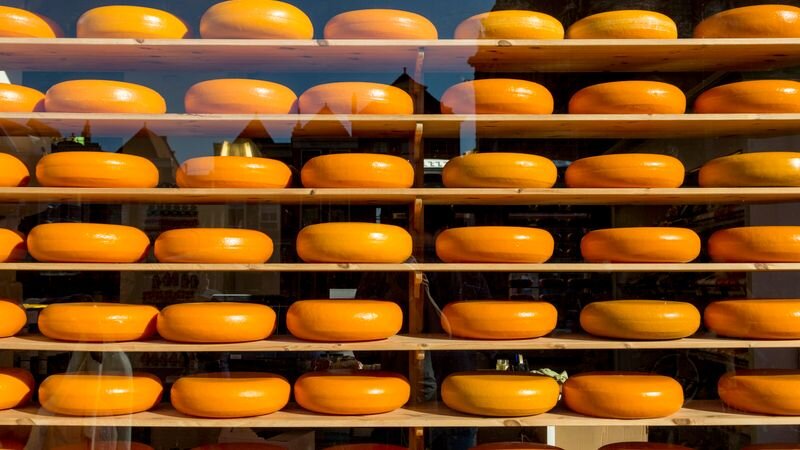 Rows of golden Gouda cheese wheels displayed on wooden shelves in a shop window