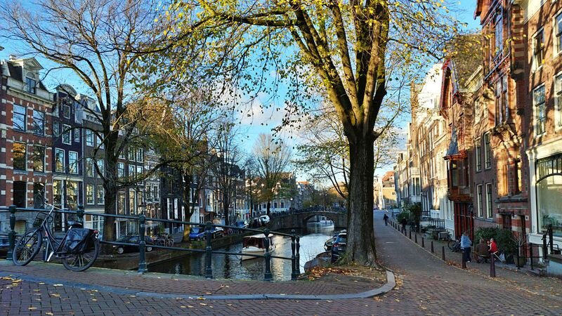 A tree-lined Amsterdam canal in autumn with bicycles parked by a small bridge and rows of canal houses