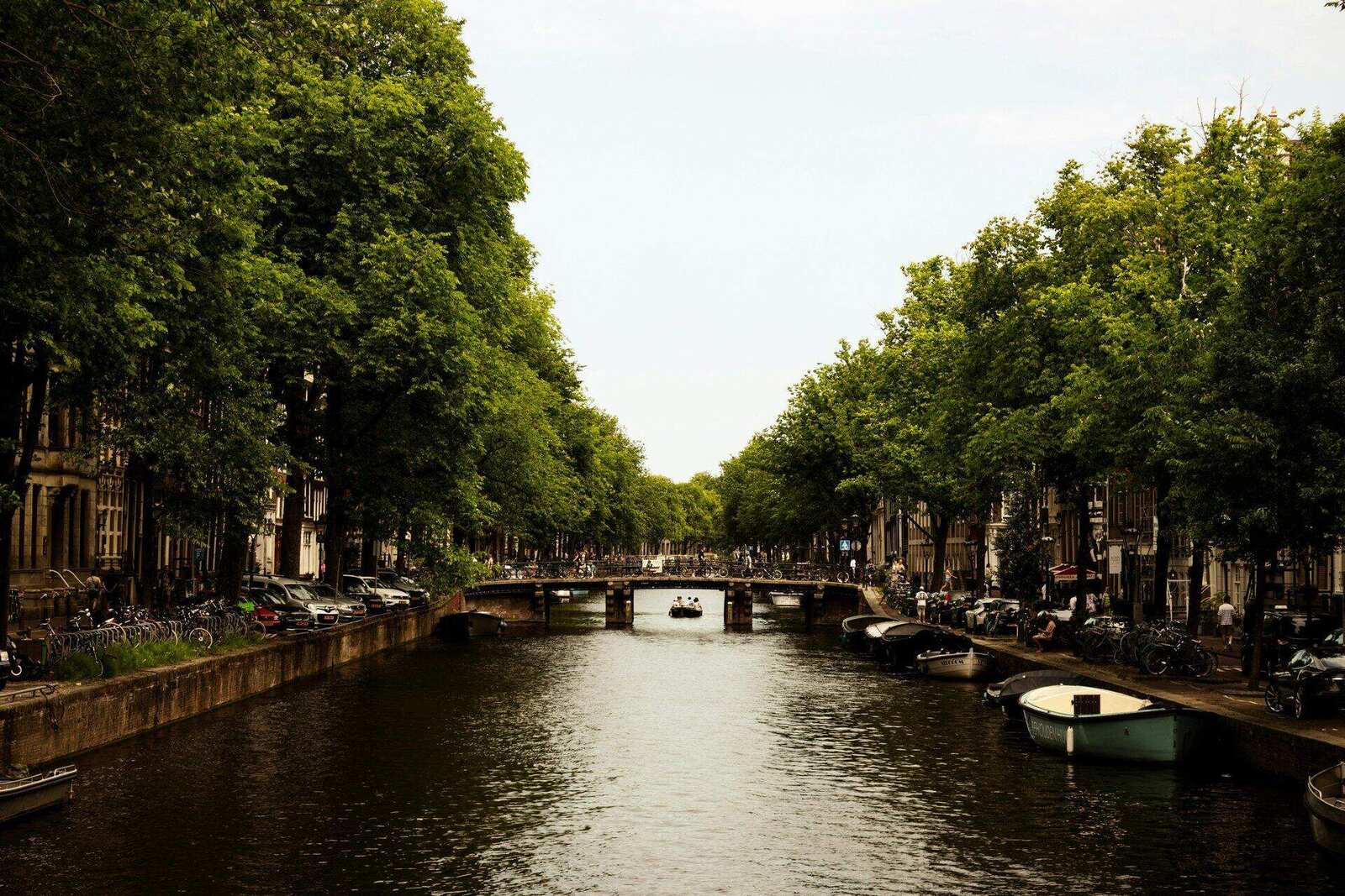 Amsterdam canal with boats moored along the waterfront